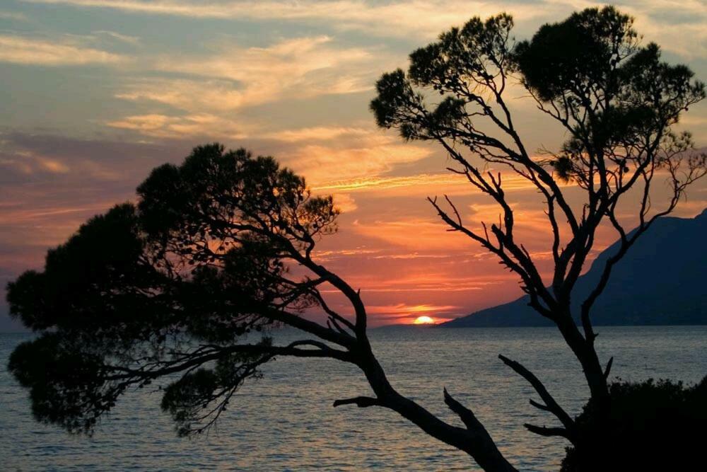 Apartmani Milka i Jozo Omiš Exteriér fotografie